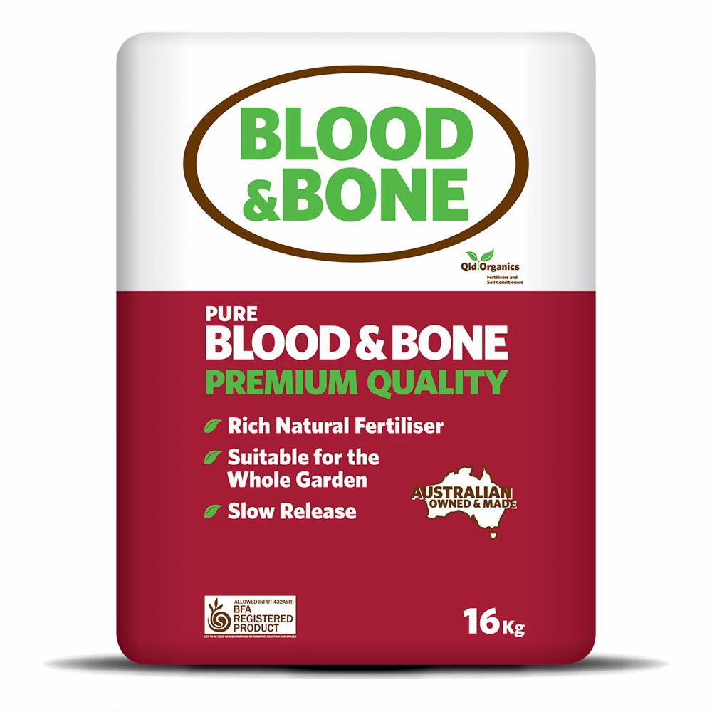 Blood And Bone