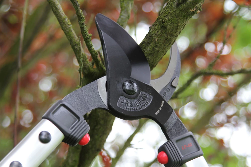 ARS LP40 Bypass Lopper 4 ARS LP40 Bypass Lopper - Image 2