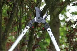 ARS LP40 Bypass Lopper 15 ARS LP40 Bypass Lopper -Plant Care Shop ARSLP 40 g6 gallery large 76443.1707092320