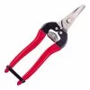 ARS 310 Curved Nose Fruit Snips 2 ARS 310 Curved Nose Fruit Snips -Plant Care Shop ARS 310 Curved Blade Fruit Pruner 01574.1639695815