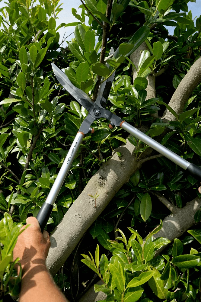 Bahco P51H-SL Extra Long Hedge Shears, Heavy Duty, Lightweight With Aluminium Handle 10 Bahco P51H-SL Extra Long Hedge Shears, Heavy Duty, Lightweight With Aluminium Handle - Image 8