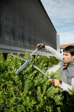 Bahco P51H-SL Extra Long Hedge Shears, Heavy Duty, Lightweight With Aluminium Handle 31 Bahco P51H-SL Extra Long Hedge Shears, Heavy Duty, Lightweight With Aluminium Handle -Plant Care Shop Bahco P51H SL Extra Long Hedge Shears Heavy Duty Lightweight with Aluminium Handle 14 90331.1707204594