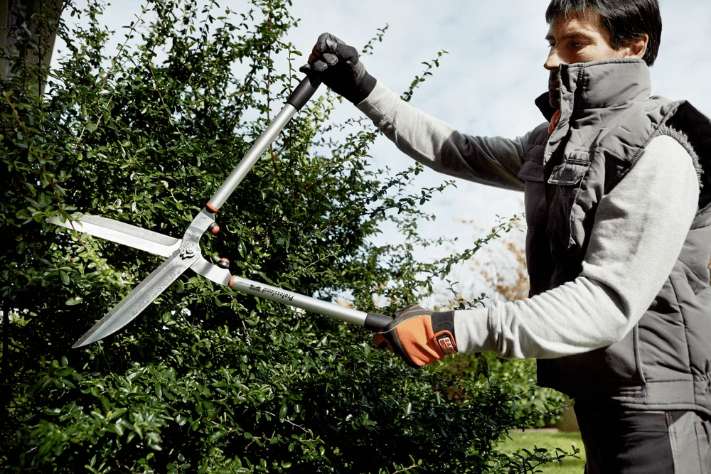 Bahco P51H-SL Extra Long Hedge Shears, Heavy Duty, Lightweight With Aluminium Handle 18 Bahco P51H-SL Extra Long Hedge Shears, Heavy Duty, Lightweight With Aluminium Handle - Image 16