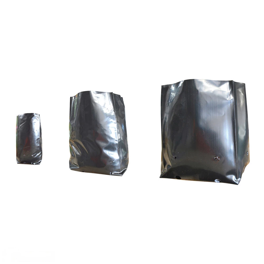 Polythene Plant Bag 100mmØ 3 Polythene Plant Bag 100mmØ