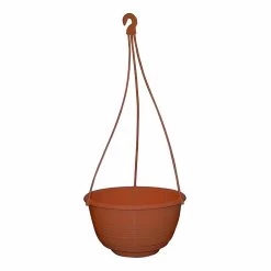 Grecian Hanging Basket Complete -Plant Care Shop Grecian Hanging Basket Complete 200mm Rustic 36170.1649645104