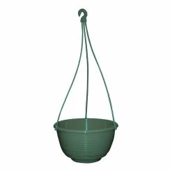 Grecian Hanging Basket Complete -Plant Care Shop Grecian Hanging Basket Complete 250mm Jade Green 44516.1649645106