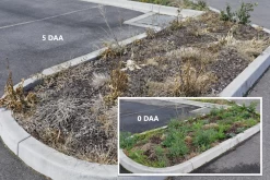 Weed Terminator & Soil Conditioner -Plant Care Shop Open Spaces Before After 1 23656.1658712994