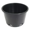 Orchid Pot 150mmØ X 100mm -Plant Care Shop Orchid Pot 150mm 66920.1639695751