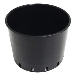 Orchid Pot 70mmØ X 50mm