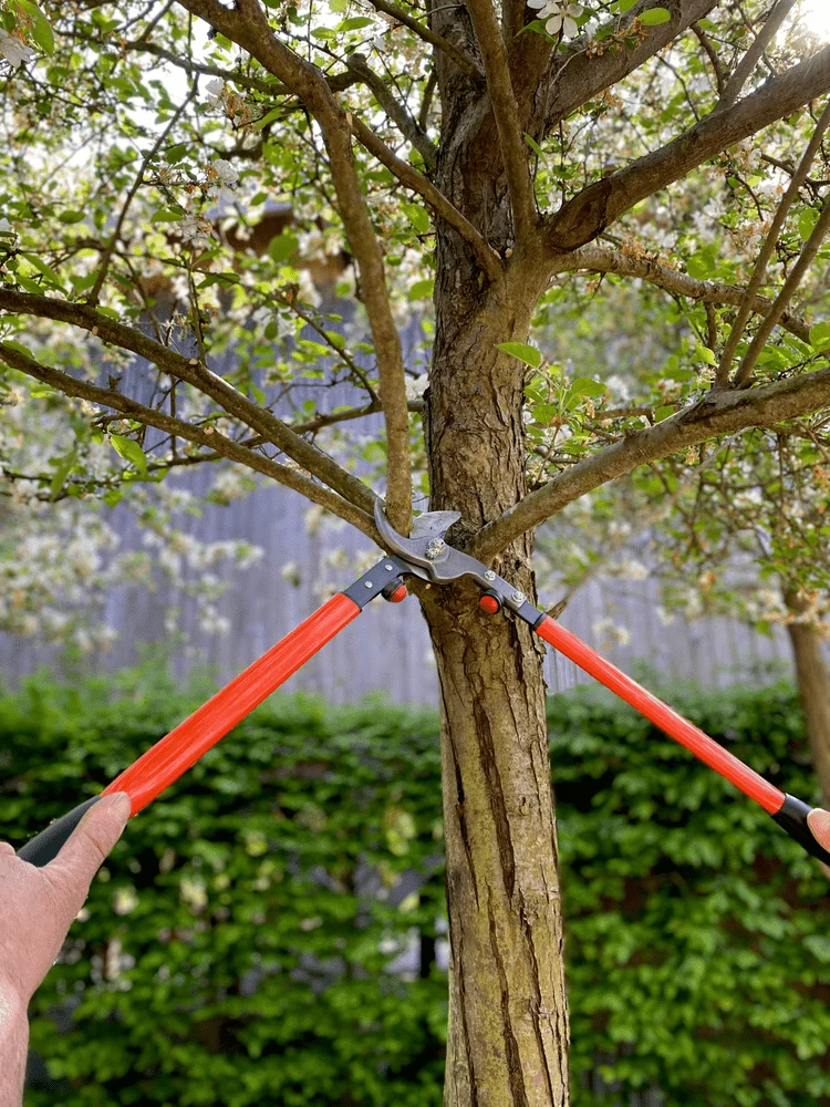 Bahco P16-60-F Professional 30mm Bypass Loppers With Steel Handle 4 Bahco P16-60-F Professional 30mm Bypass Loppers With Steel Handle - Image 2