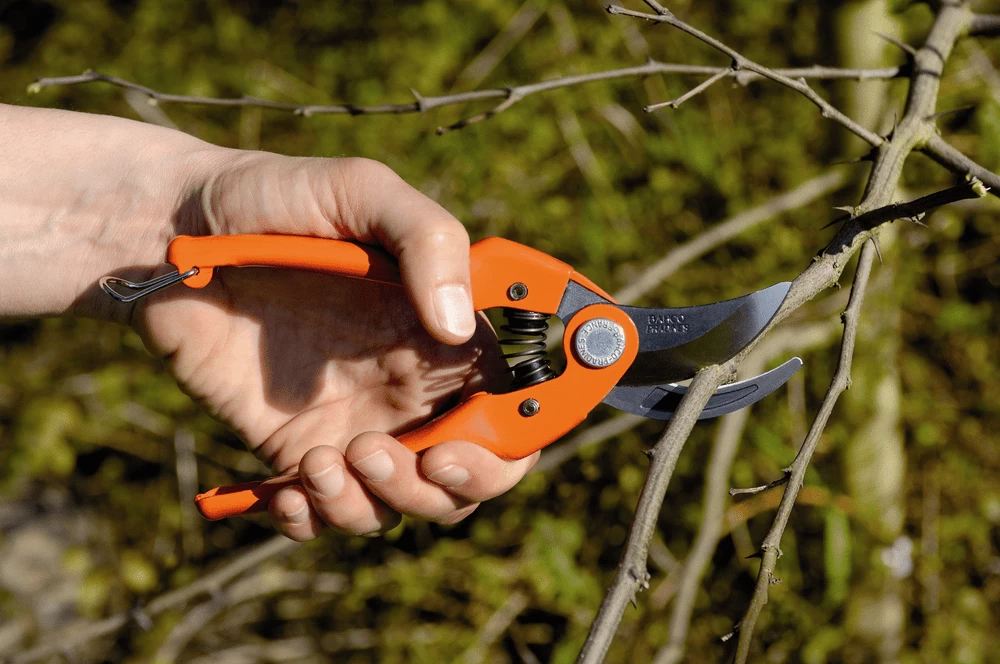 Bahco P126-19-F 15mm Bypass Secateurs With Stamped/Pressed Steel Handle 4 Bahco P126-19-F 15mm Bypass Secateurs With Stamped/Pressed Steel Handle - Image 2