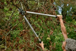 Bahco P173-SL-85 Professional 45mm Anvil Loppers With Lever Action And Aluminium Handle -Plant Care Shop bahco p173 sl loppers 4 81463.1707202738