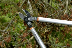 Bahco P173-SL-85 Professional 45mm Anvil Loppers With Lever Action And Aluminium Handle -Plant Care Shop bahco p173 sl loppers 5 15602.1707202738