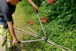 Bahco P173-SL-85 Professional 45mm Anvil Loppers With Lever Action And Aluminium Handle -Plant Care Shop bahco p173 sl loppers 7 65888.1707202738