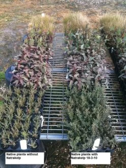 Natrakelp 18-3-10 -Plant Care Shop native 18 3 10 97906.1662942632