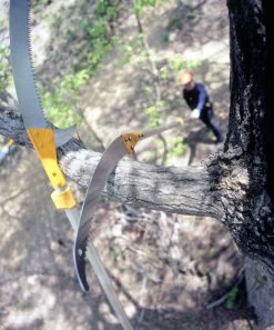 Silky Hayate Pole Saw Complete - Extendable -Plant Care Shop silky hayate 3 56178.1684377373