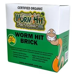 Worm Hit Bricks