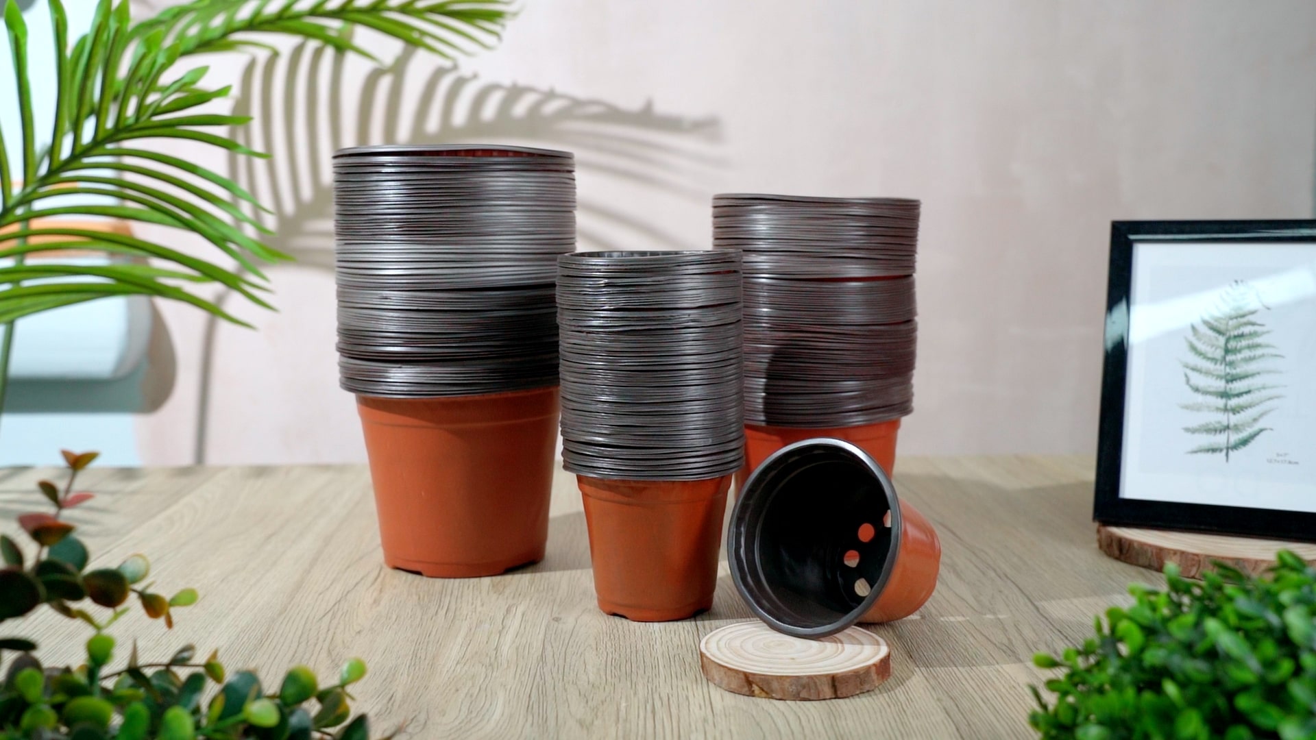 Plant Care Shop -Plant Care Shop A1RfOSpHcL min